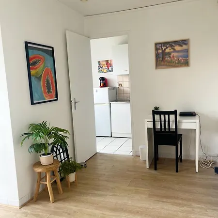 Apartamento Lumineux Et Chaleureux. *